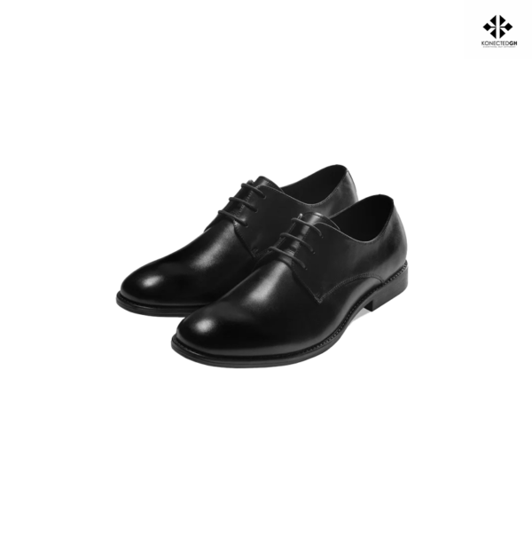 The Black Tux Black Leather Shoe