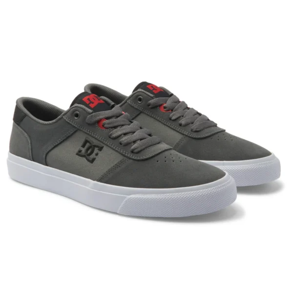 DC Teknic Skate Shoes