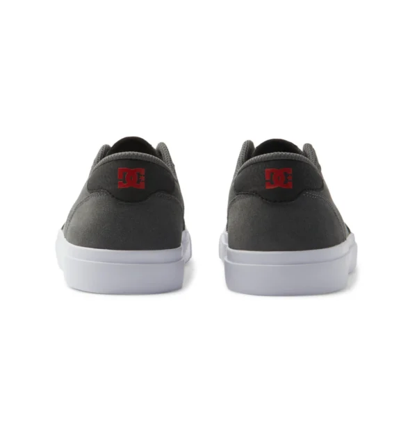 DC Teknic Skate Shoes